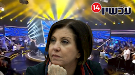 זהבה גלאון, צילום: יהונתן סינדל פלאש 90,  ערוץ 14